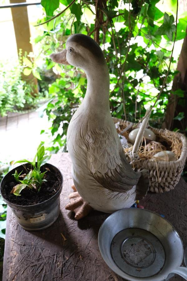 Villa De Likua 鲁容贝罗克 外观 照片